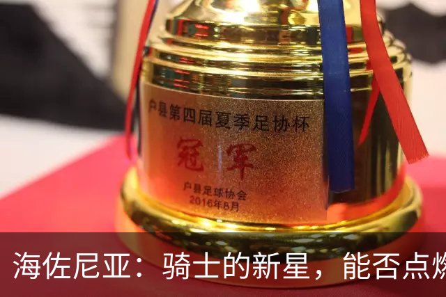 海佐尼亚：骑士的新星，能否点燃外线的火花？